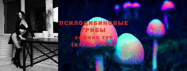 трава Покачи