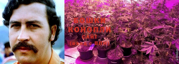 кокаин премиум Богданович