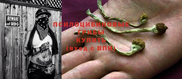 ALPHA PVP Богородск