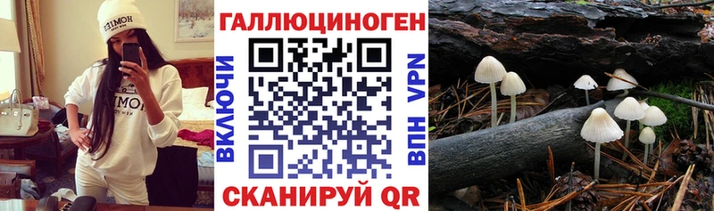 Галлюциногенные грибы прущие грибы  omg онион  Каневская 